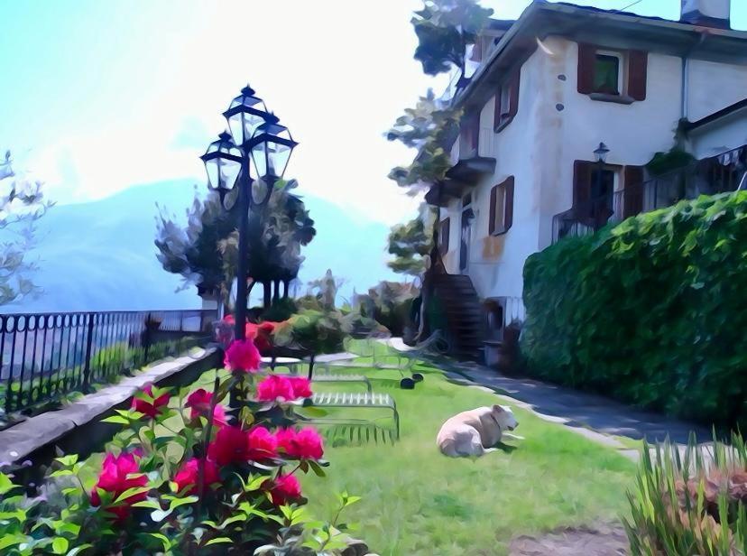 B&B Villa Moro - Family House Domodossola Extérieur photo