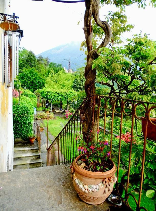 B&B Villa Moro - Family House Domodossola Extérieur photo