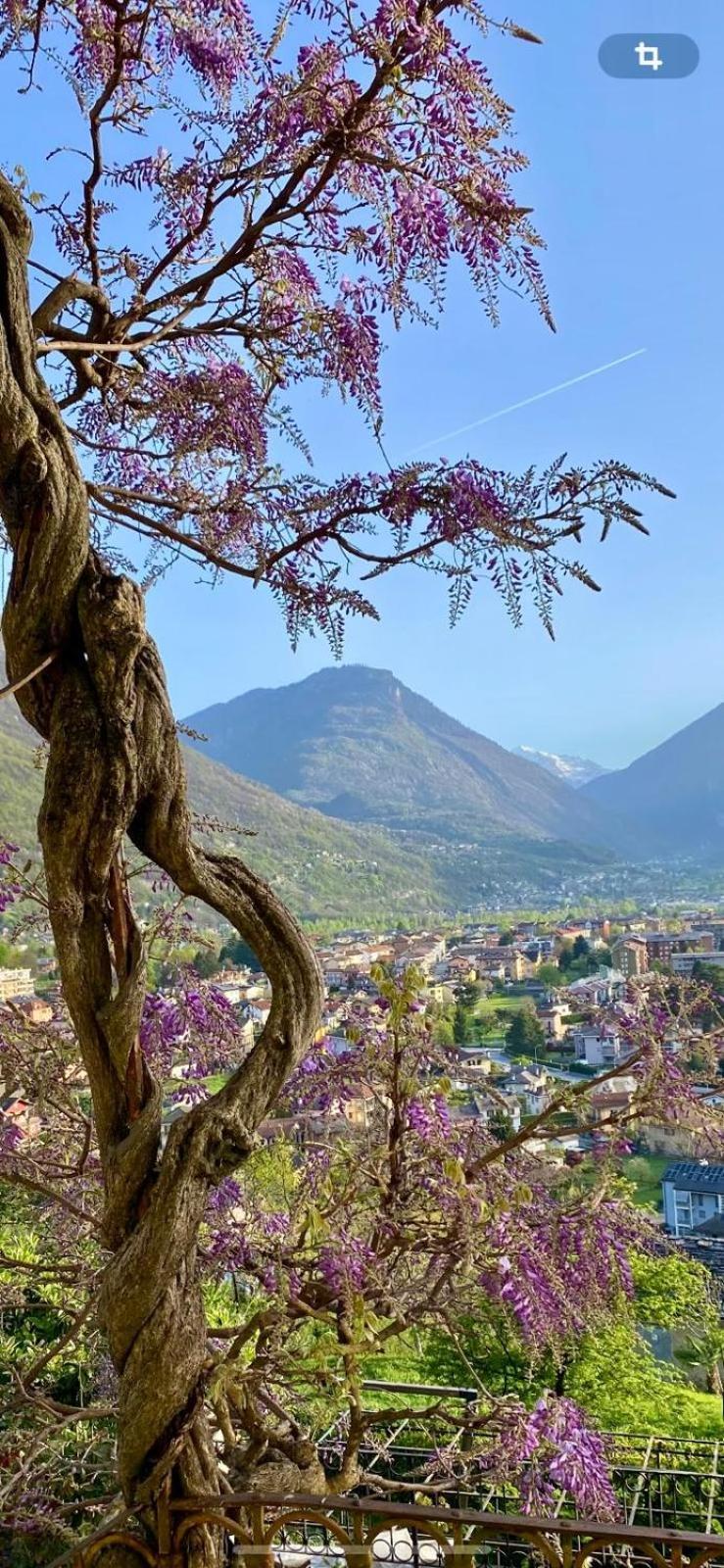 B&B Villa Moro - Family House Domodossola Extérieur photo